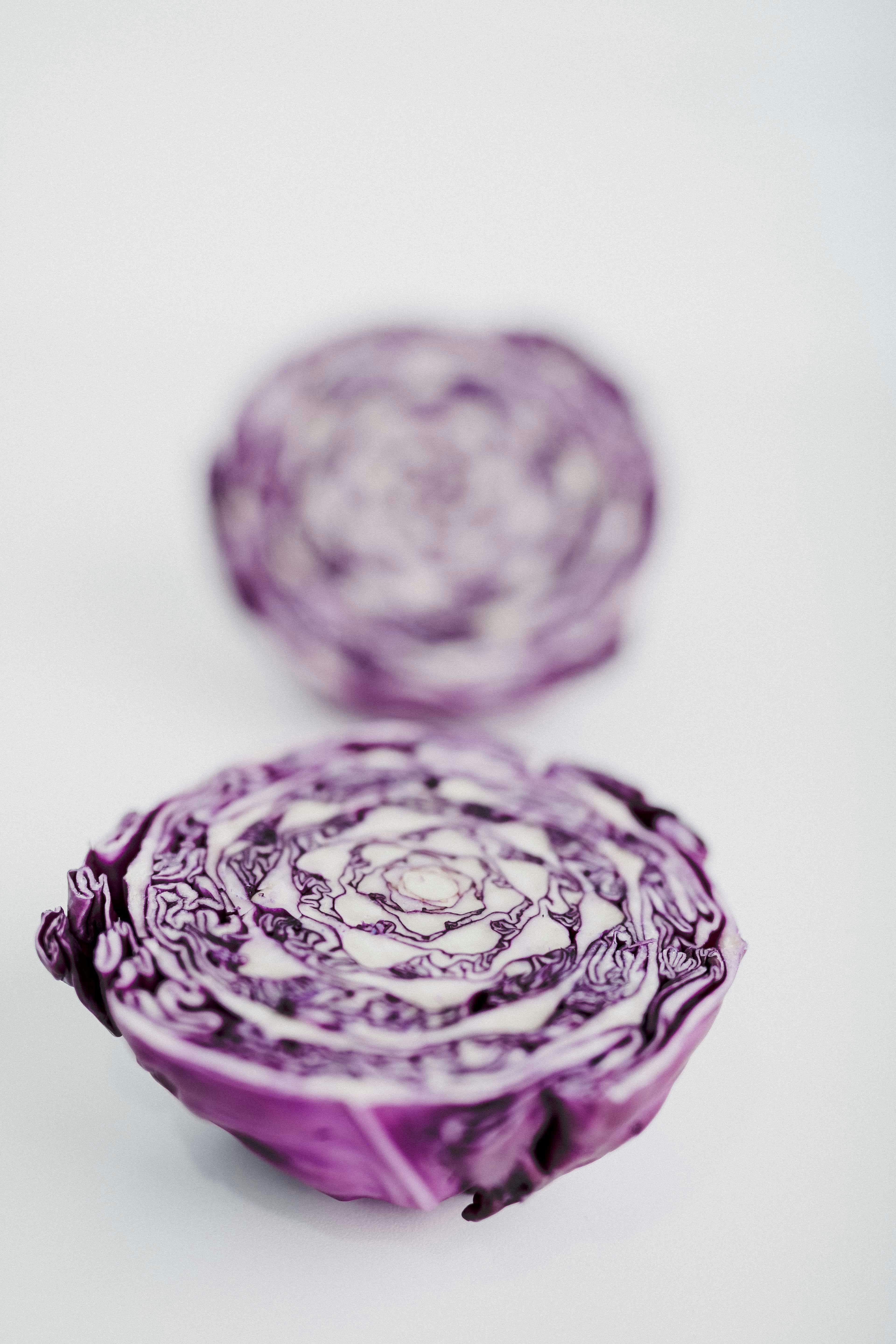 Shredded red & green cabbage