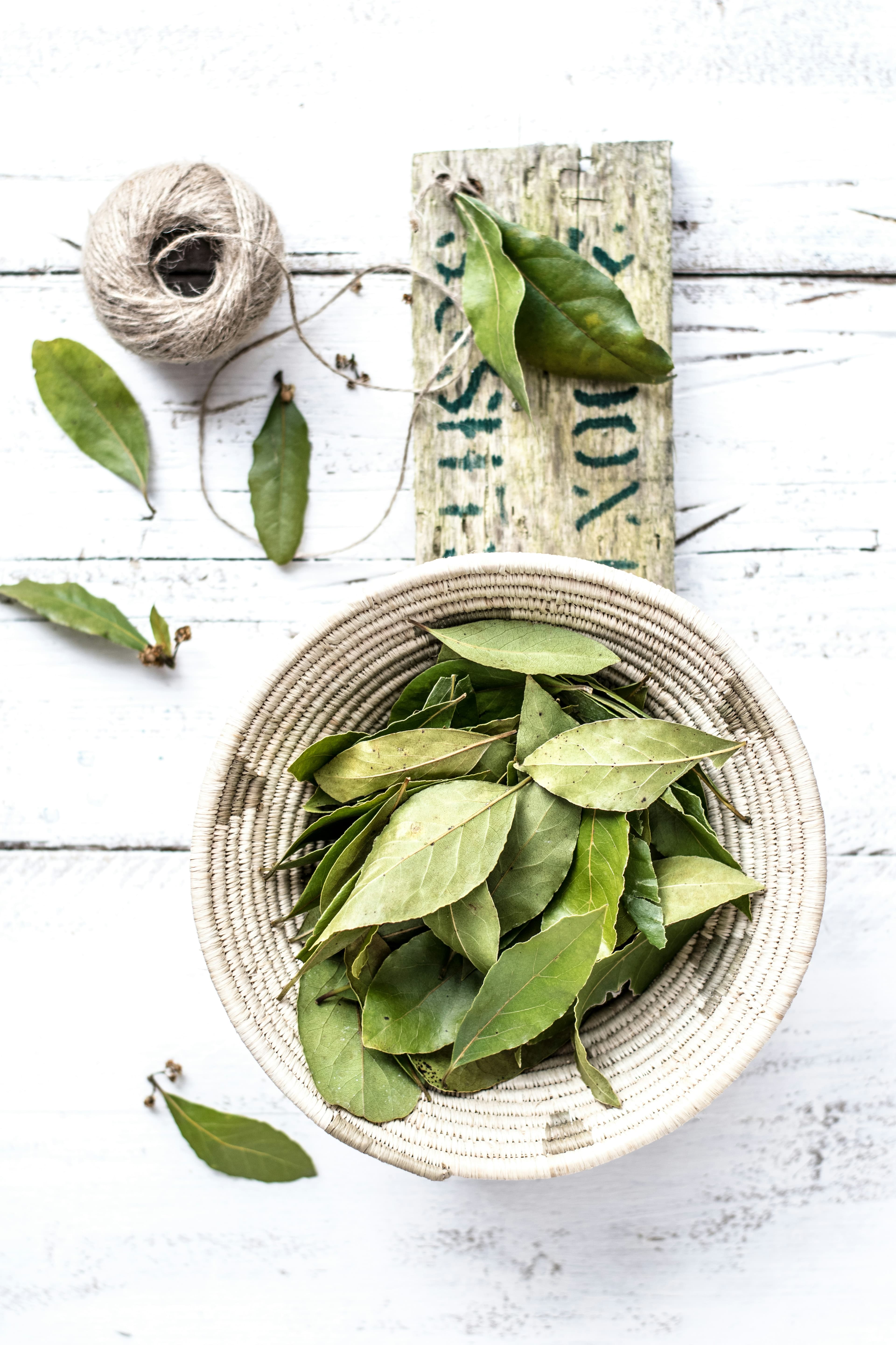 Bay leaves (laurel)