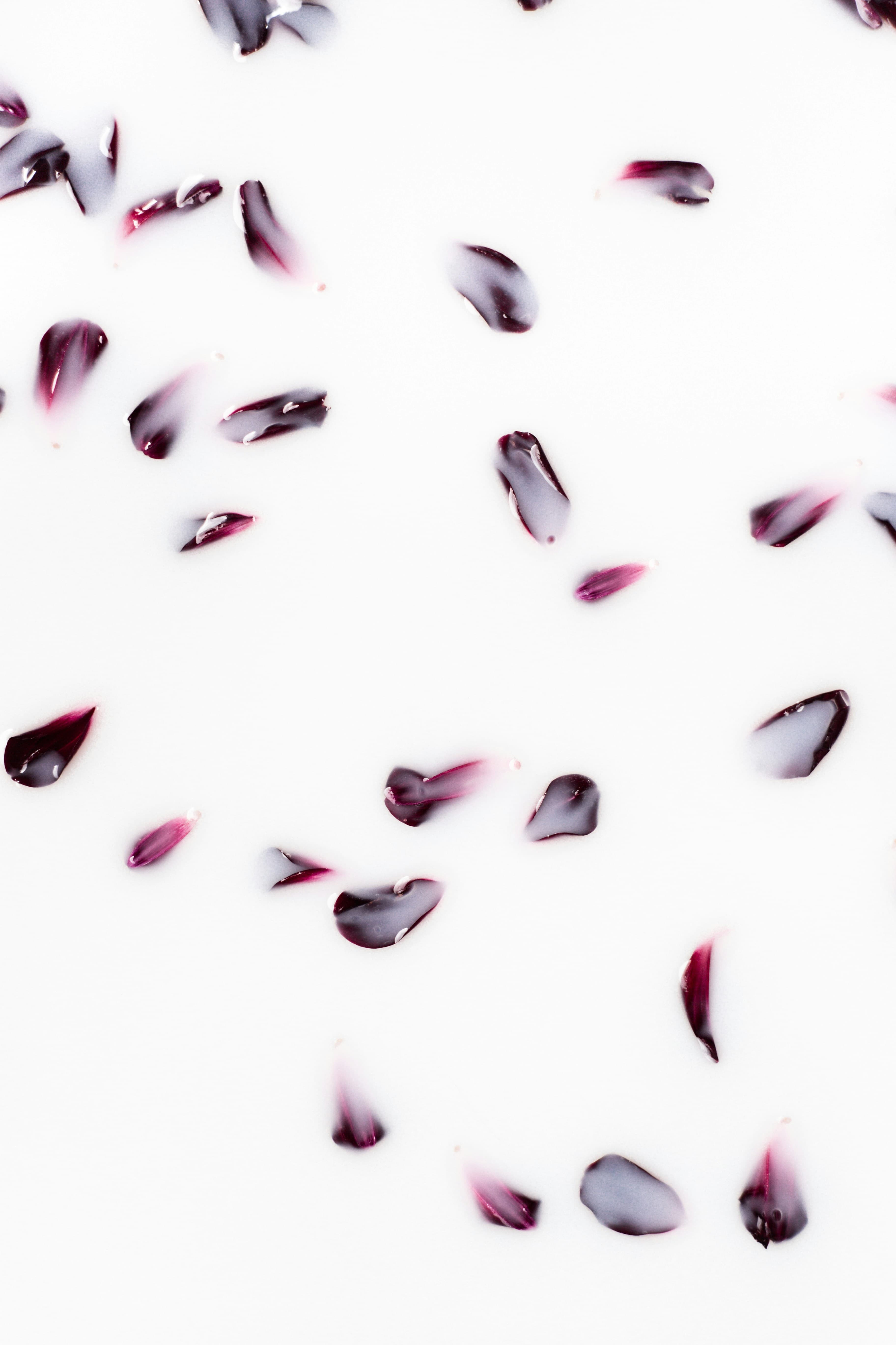 Dried hibiscus (jamaica)
