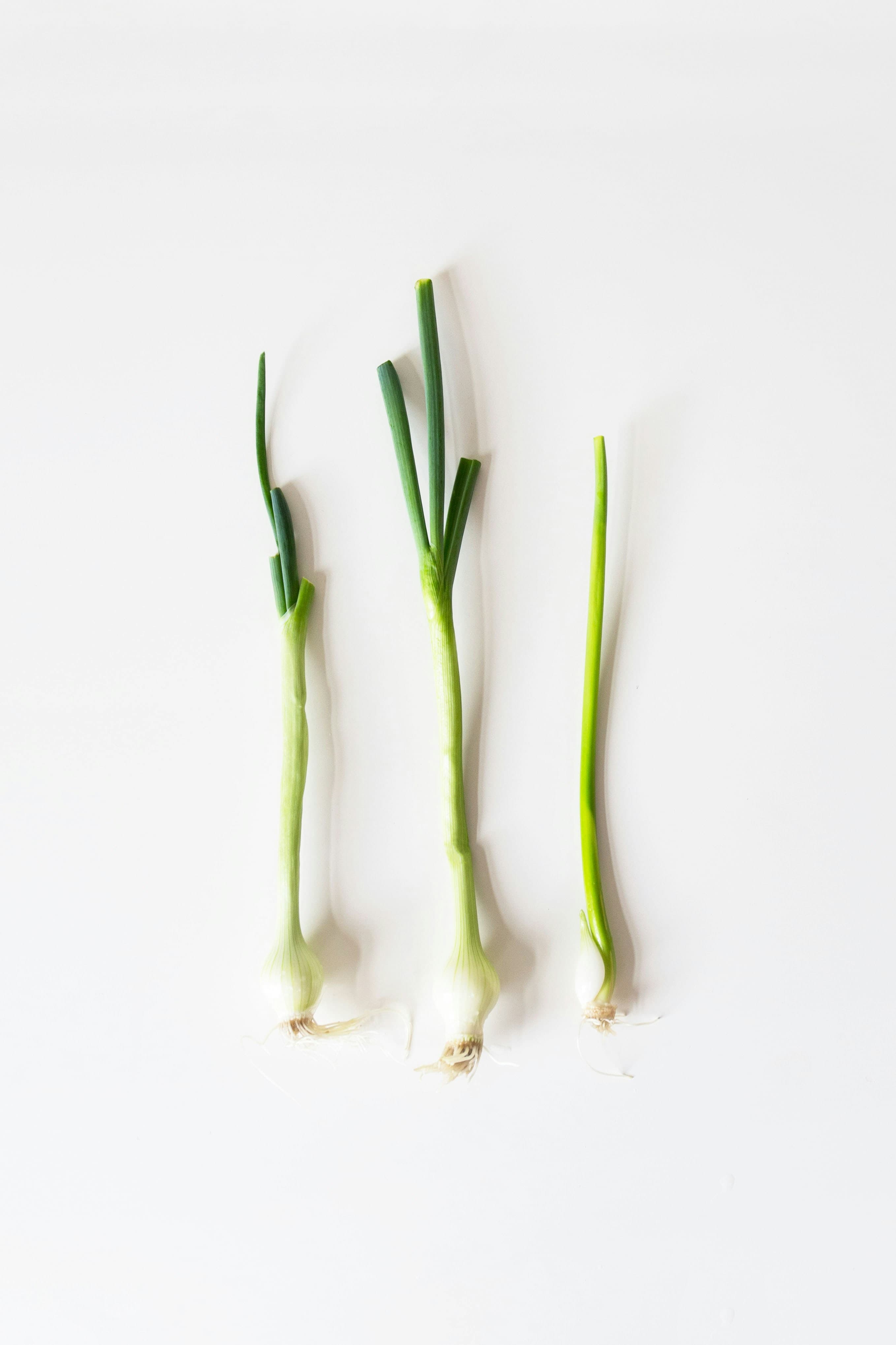 Green onions