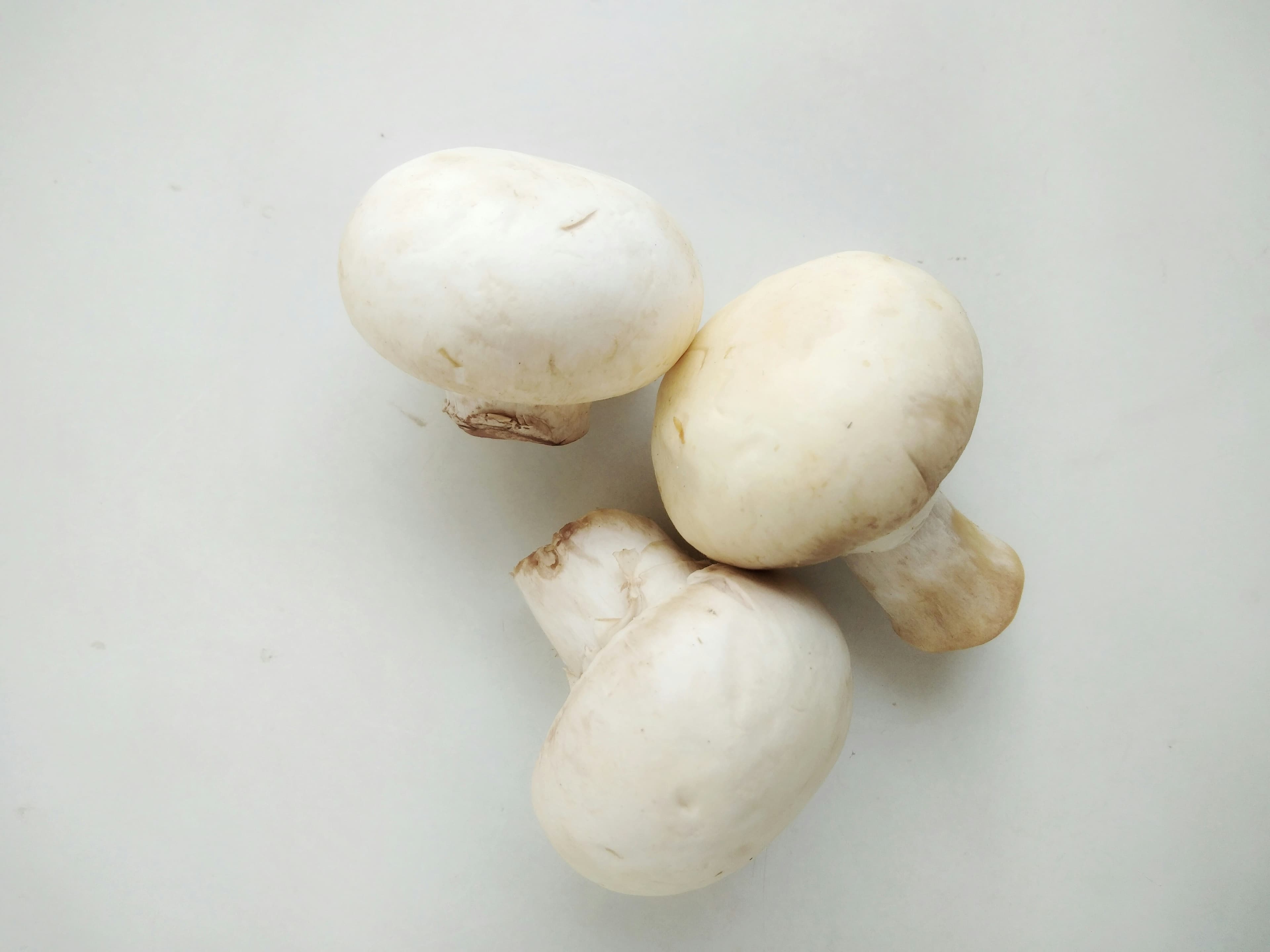 Mushrooms, cello