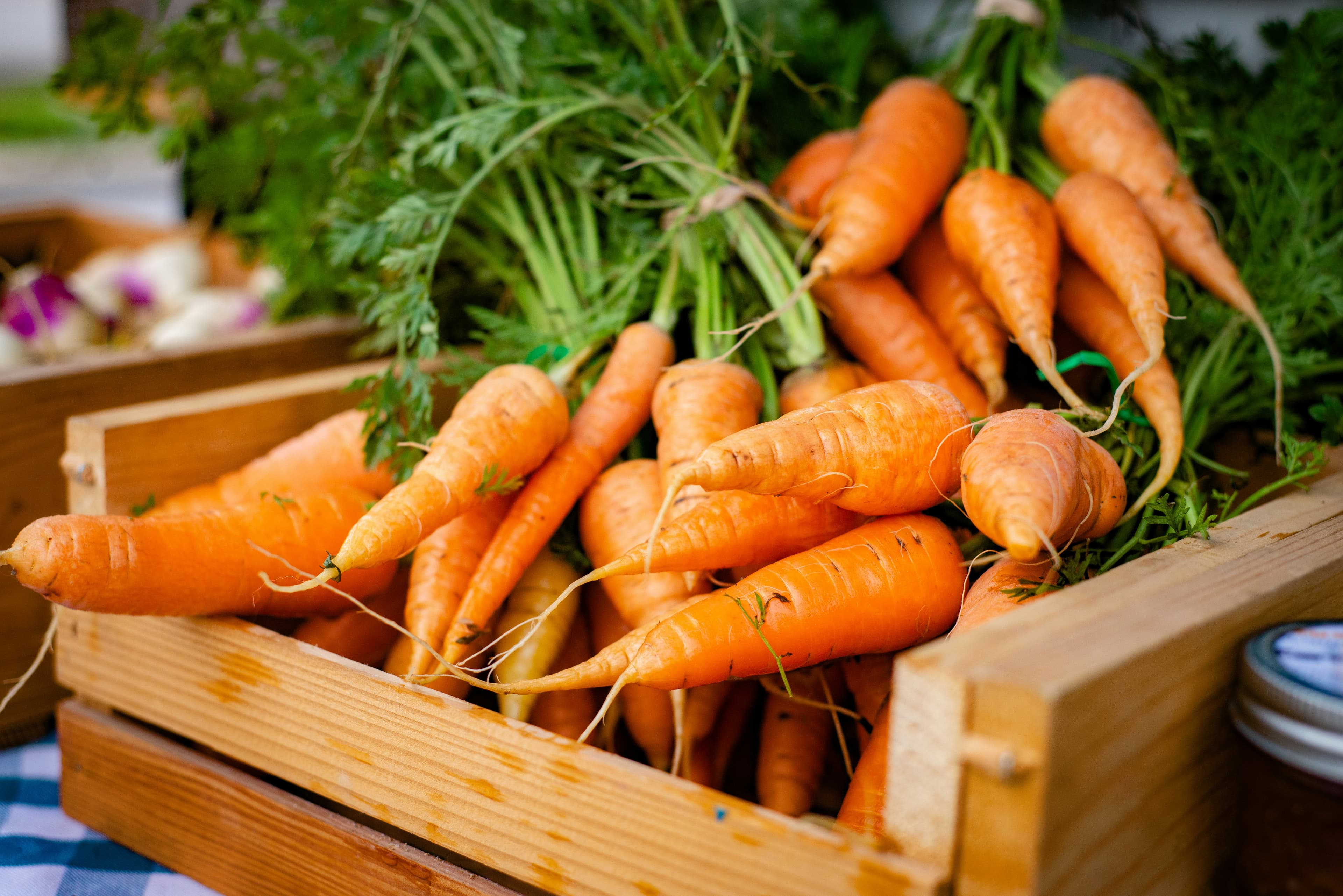 Fresh carrots in a wooden crate