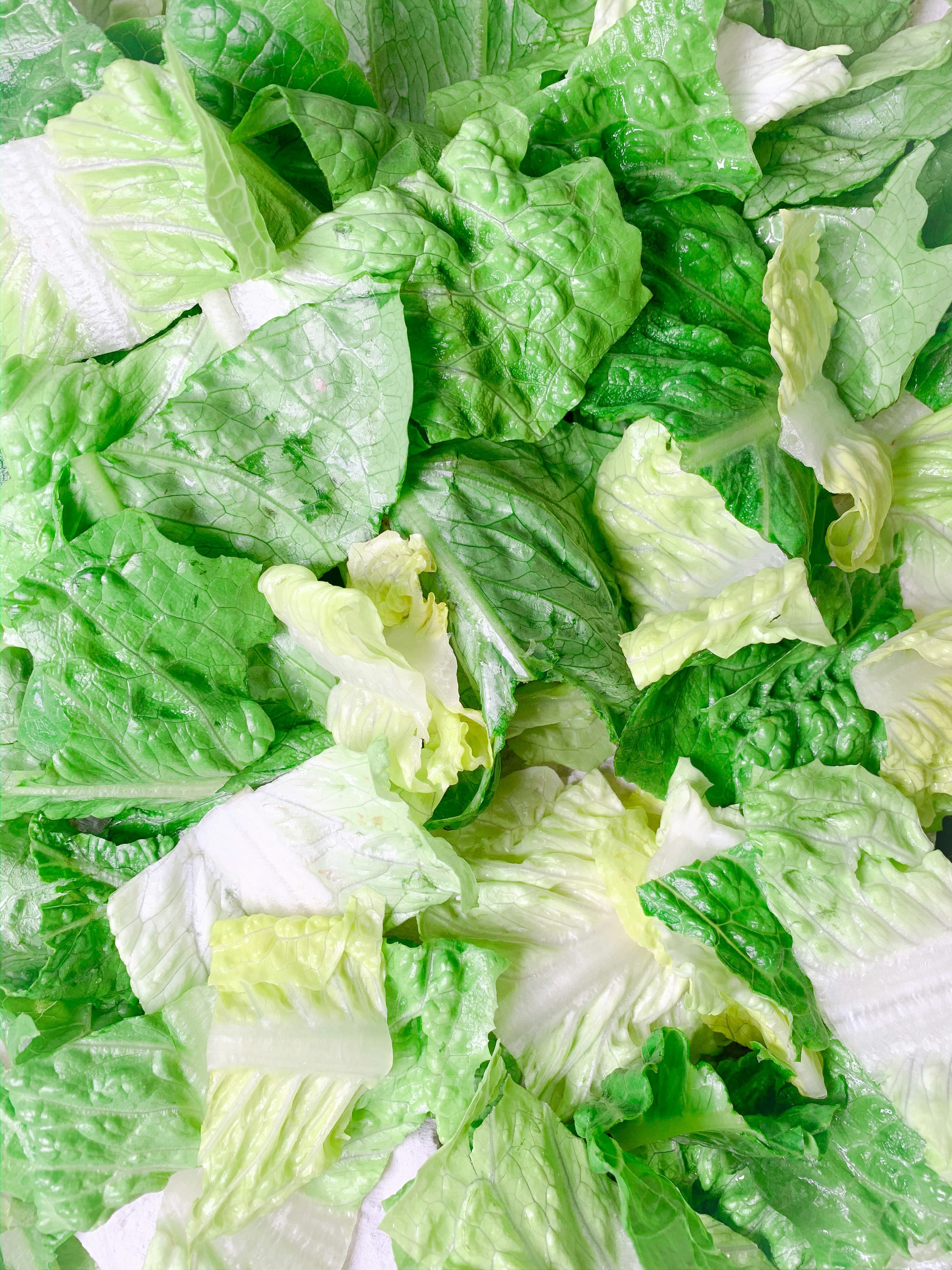 Chopped romaine, 1"