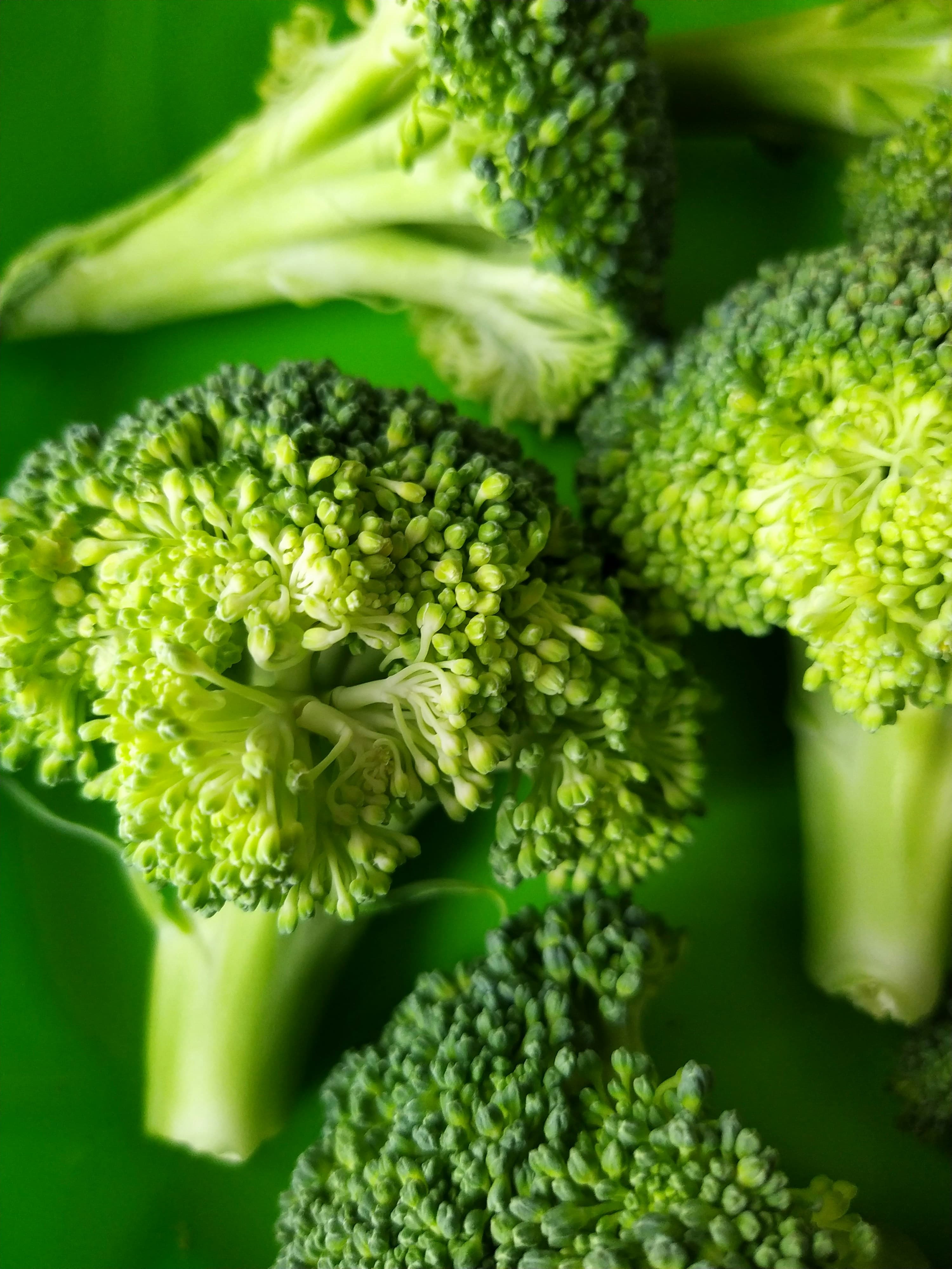 Broccoli florets