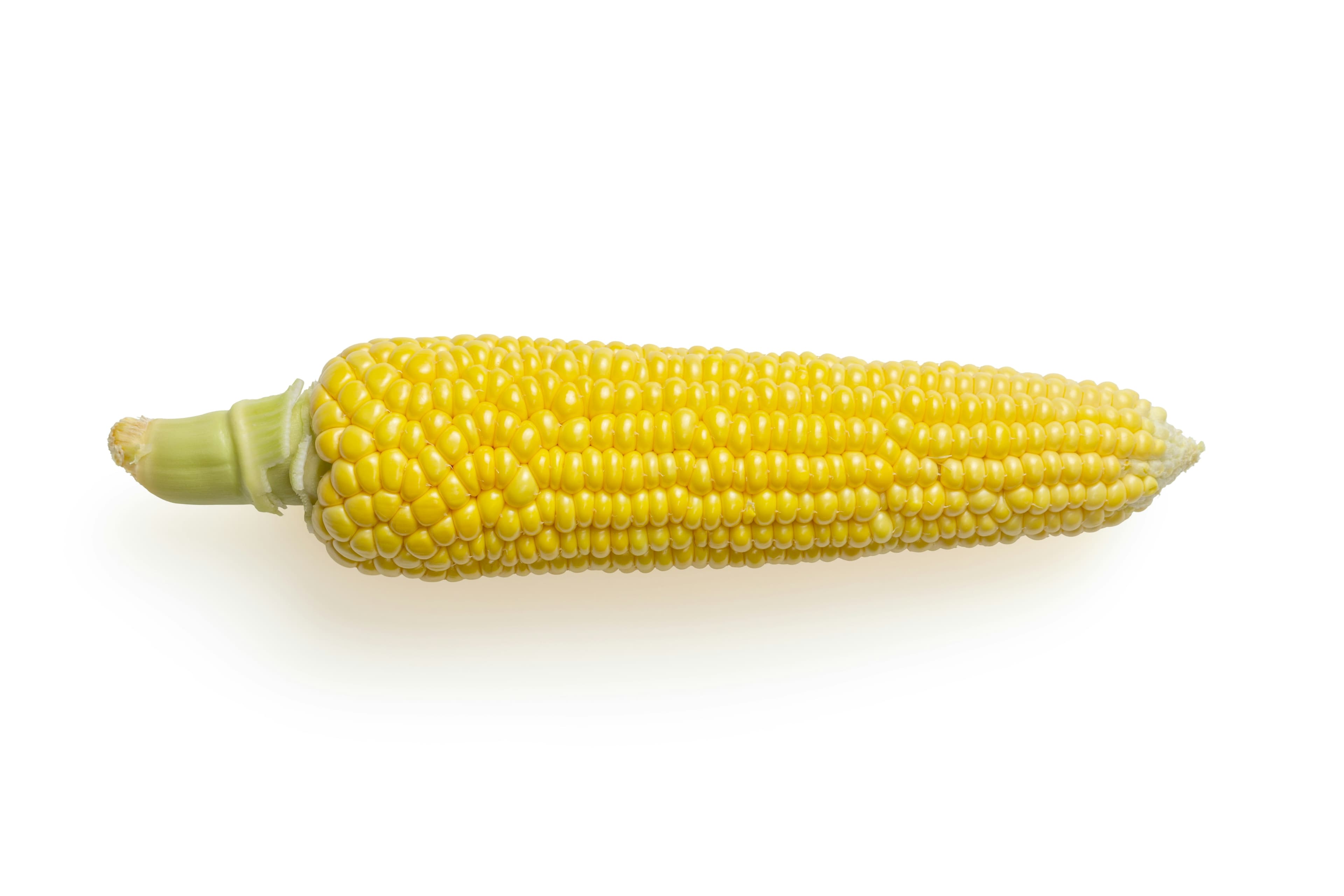 Corn
