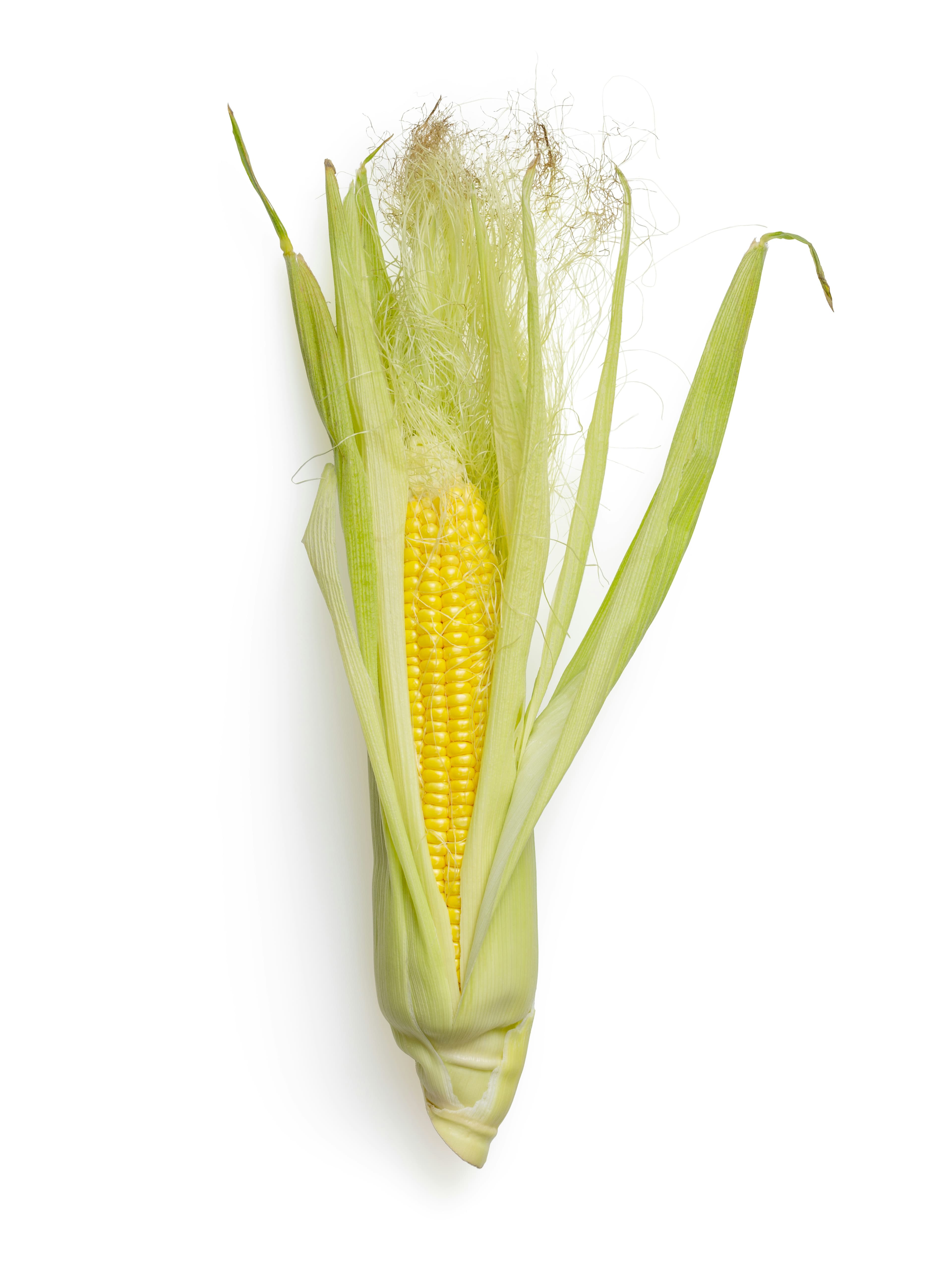 Corn husks for tamales