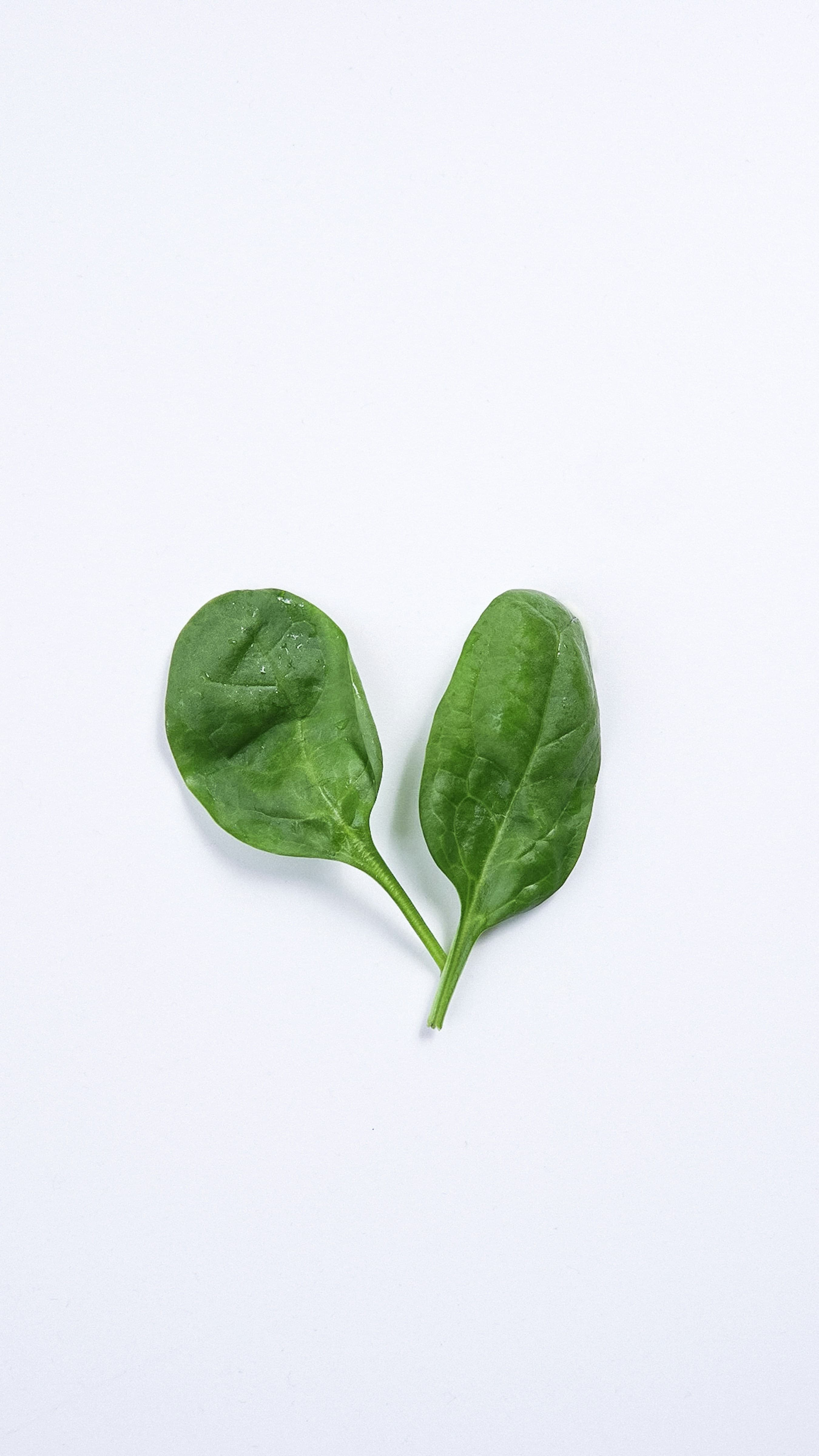 Baby spinach