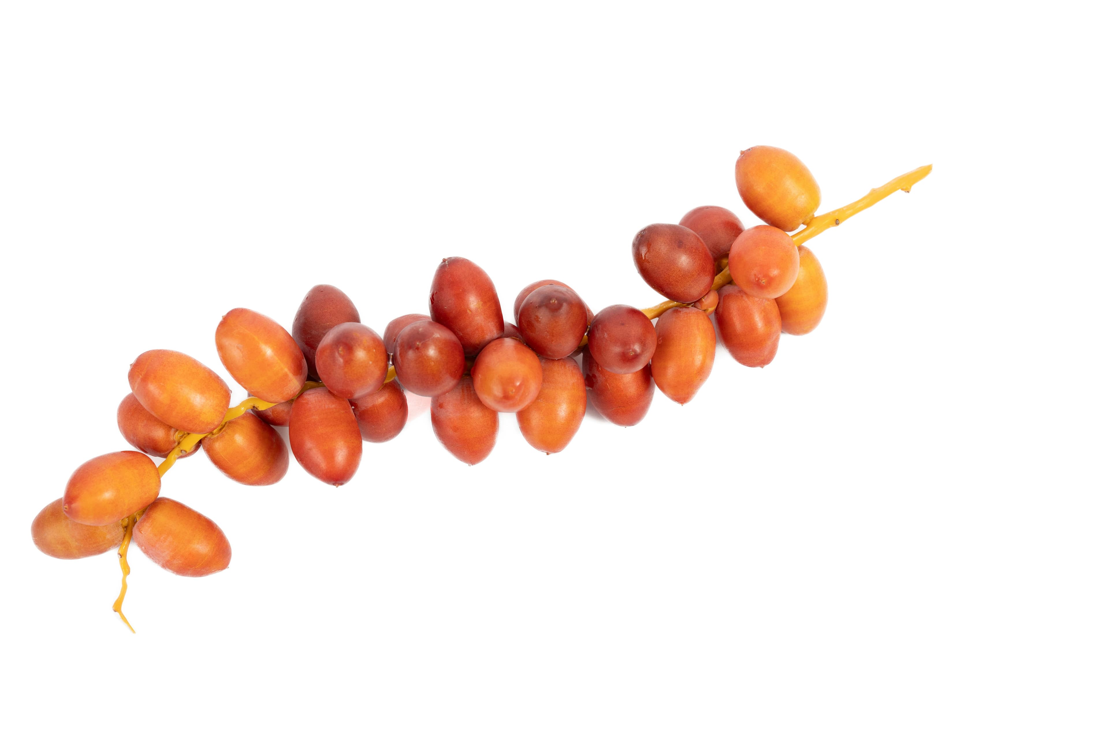 Tamarind