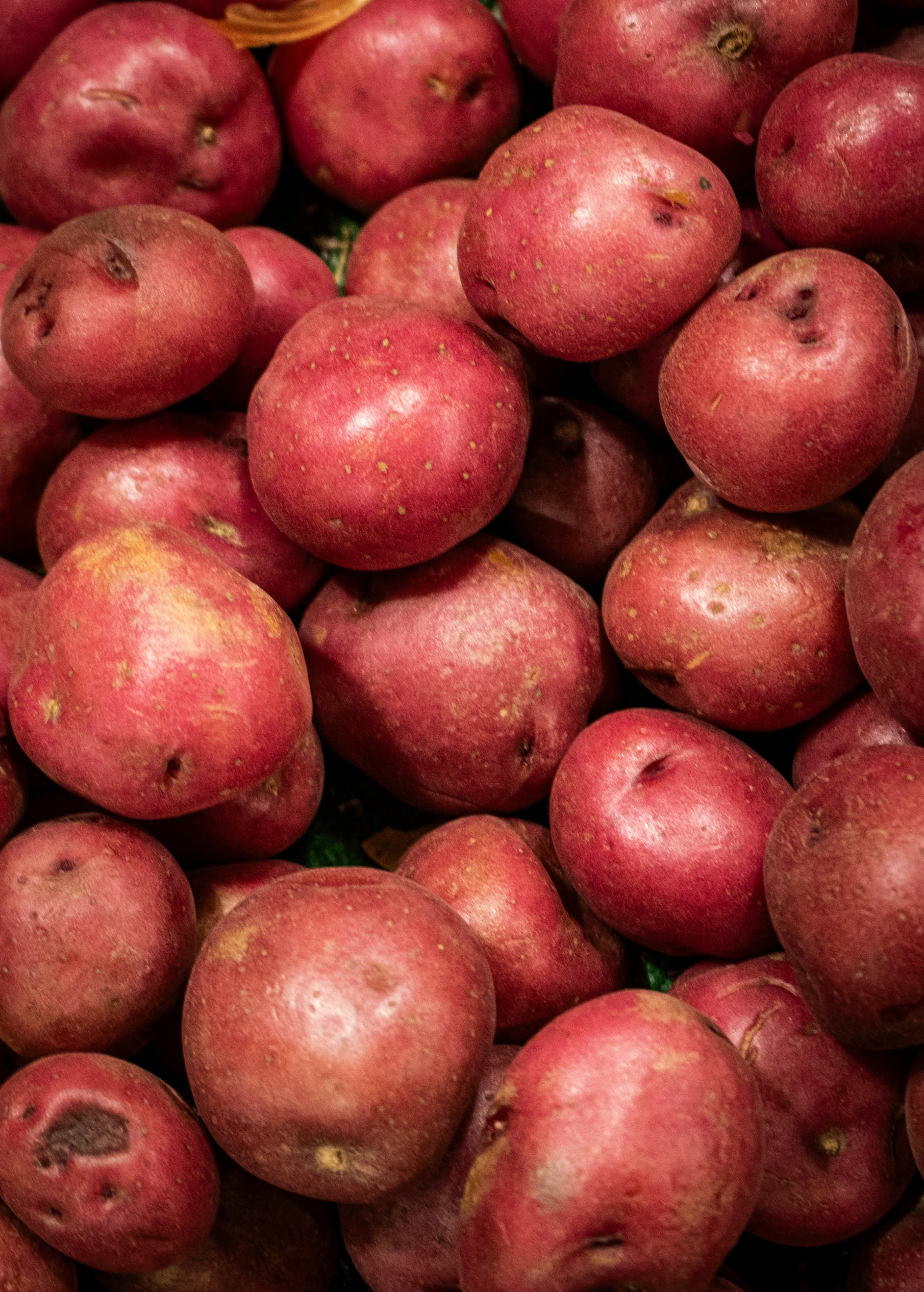 Red potatoes B